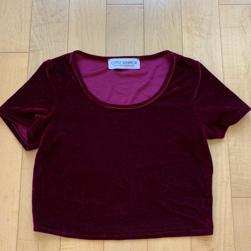 Gypsy warrior Crop Top